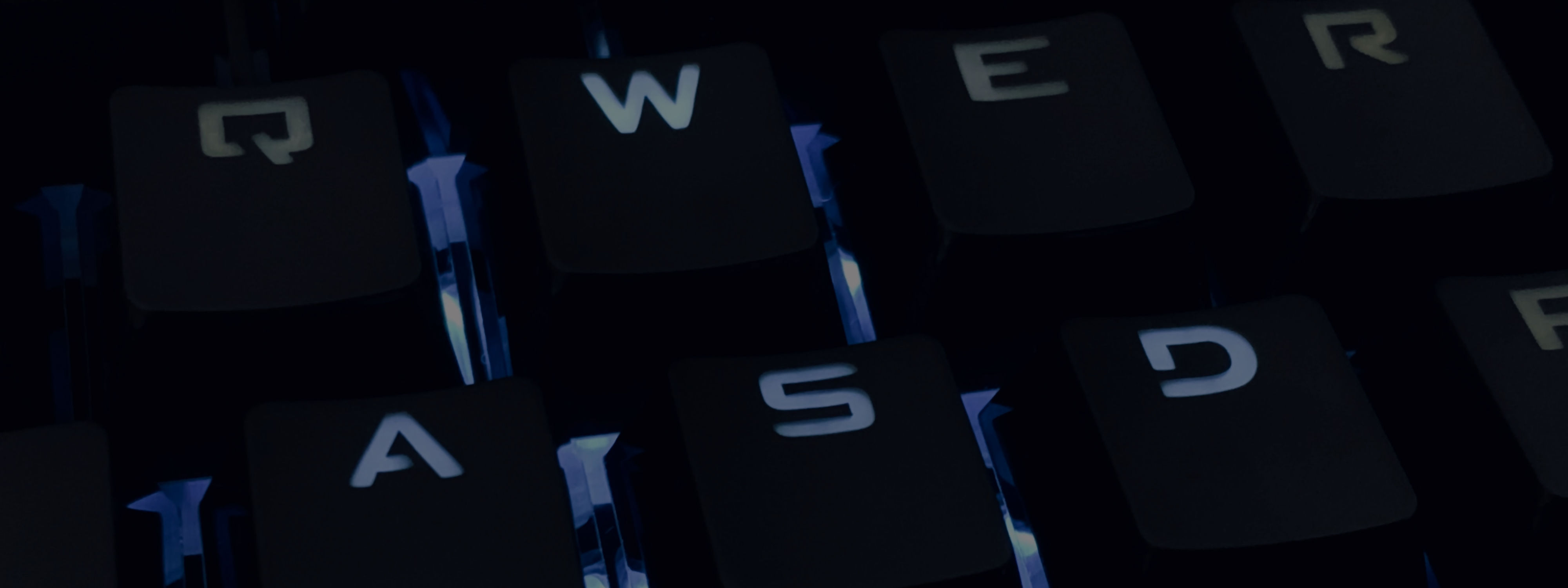 Startup Digit@l